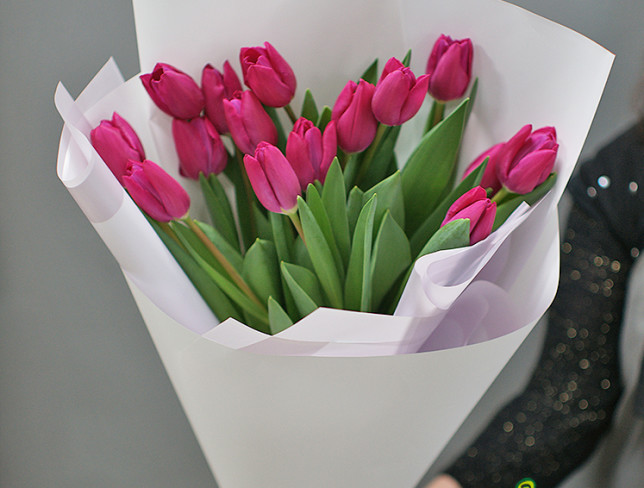 Букет из 15 тюльпанов цвета фуксии Фото